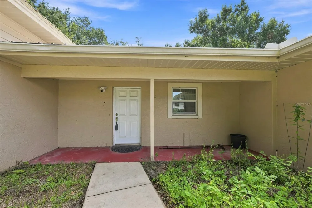 11515 RAVINE ROAD Tampa, FL 33612
