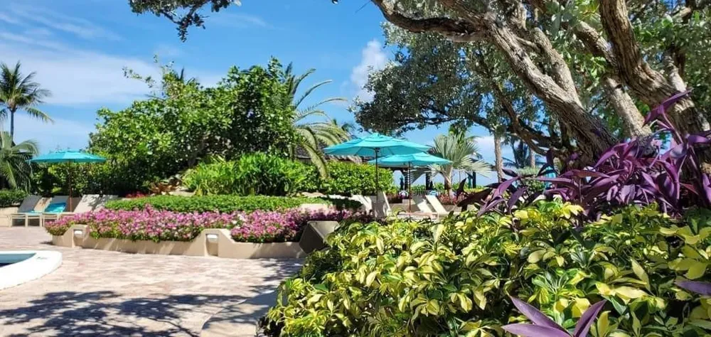 5000 Ocean Boulevard #1008 Lauderdale By The Sea, FL 33308