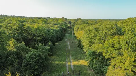 28584 County Road 1580