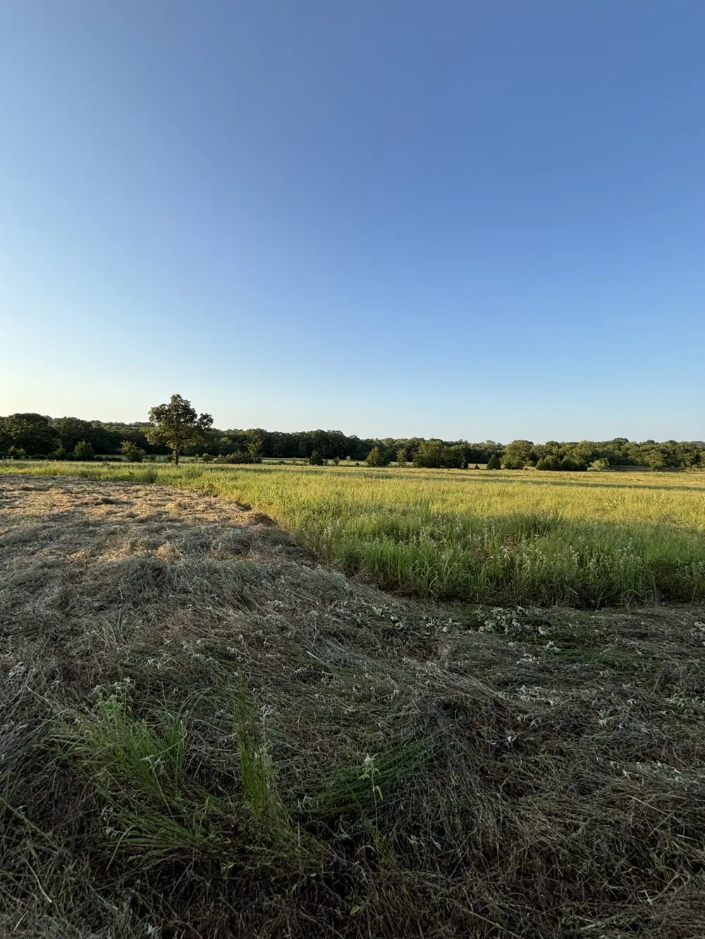 28584 County Road 1580 Allen, OK 74825