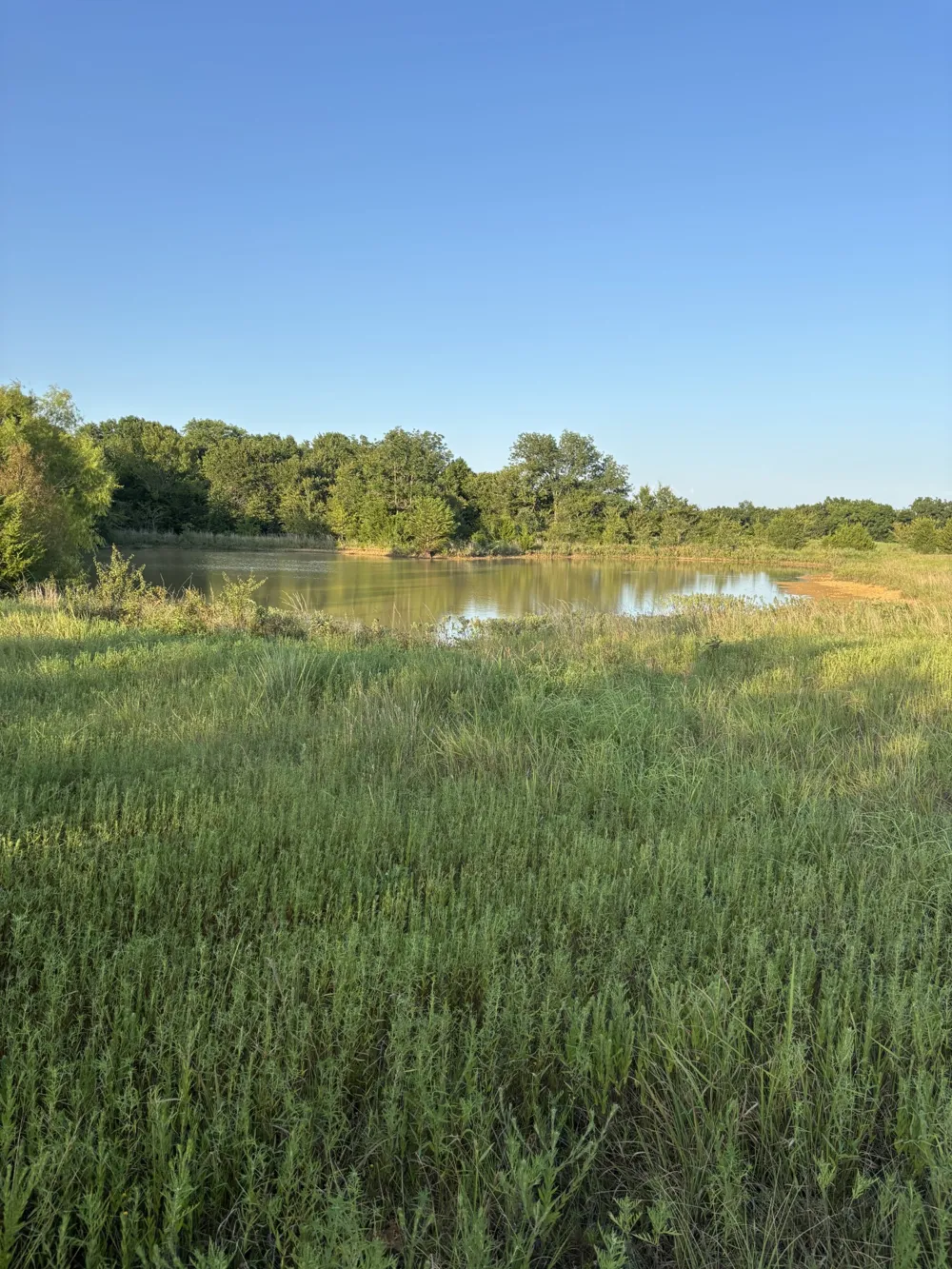 28584 County Road 1580 Allen, OK 74825
