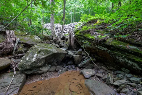Lee Station Mountain Road 90
