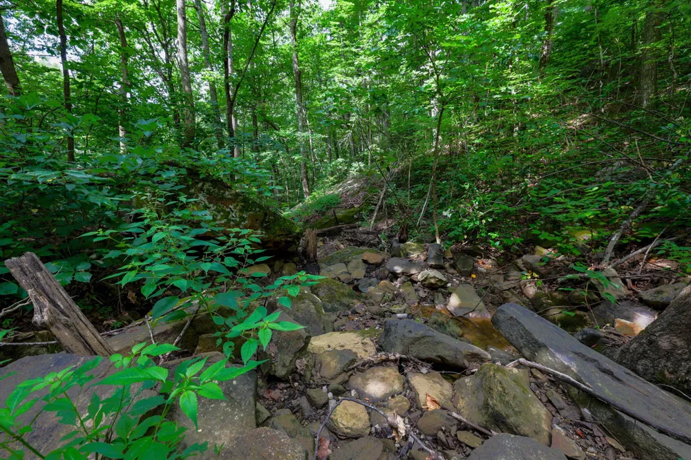 Lee Station Mountain Road 90 Pikeville, TN 37367