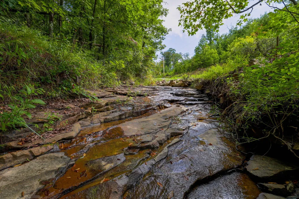 Lee Station Mountain Road 90 Pikeville, TN 37367