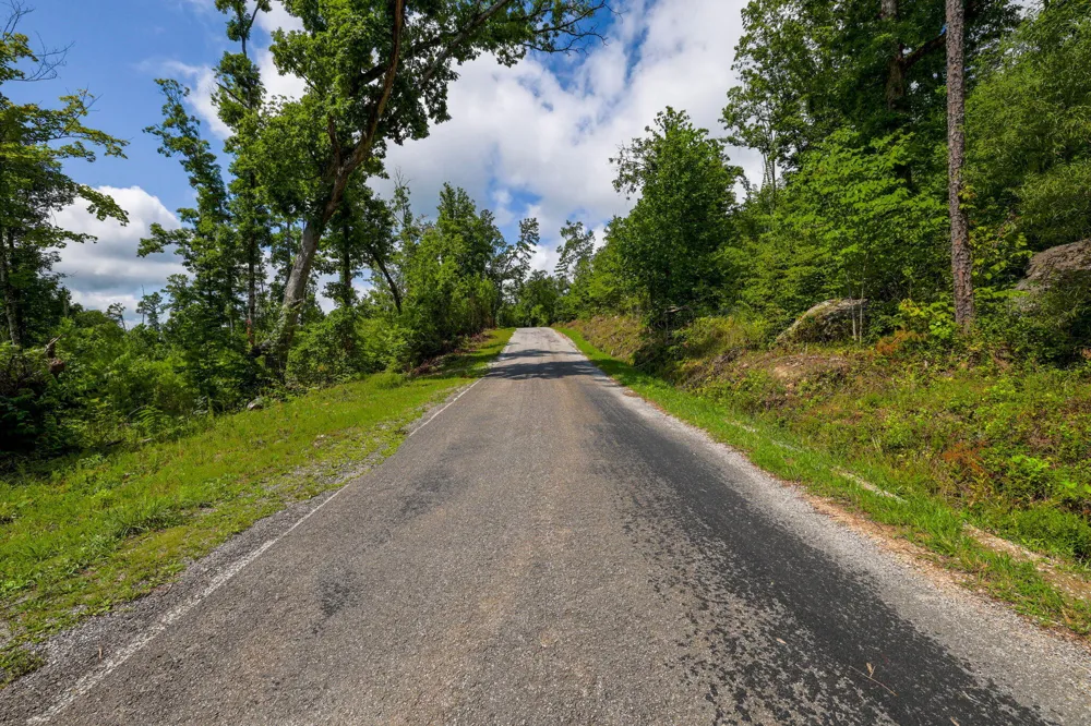 Lee Station Mountain Road 90 Pikeville, TN 37367