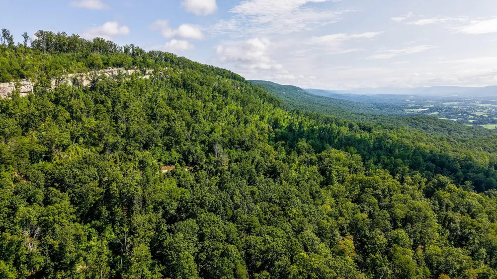 Lee Station Mountain Road 90 Pikeville, TN 37367