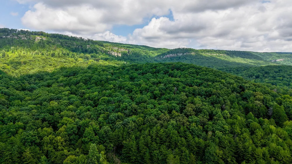 Lee Station Mountain Road 90 Pikeville, TN 37367
