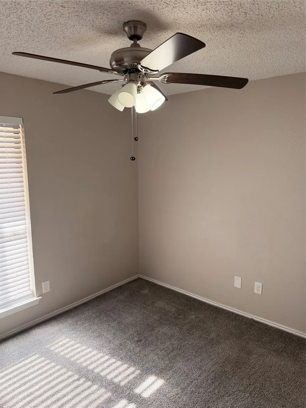6206 Fernwood Drive Arlington, TX 76001