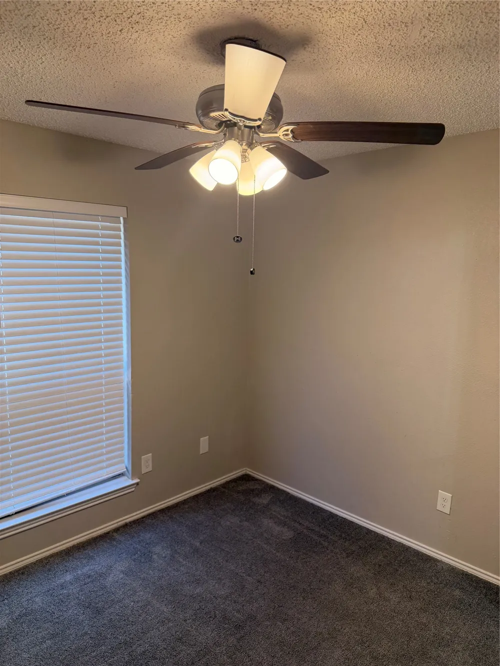 6206 Fernwood Drive Arlington, TX 76001