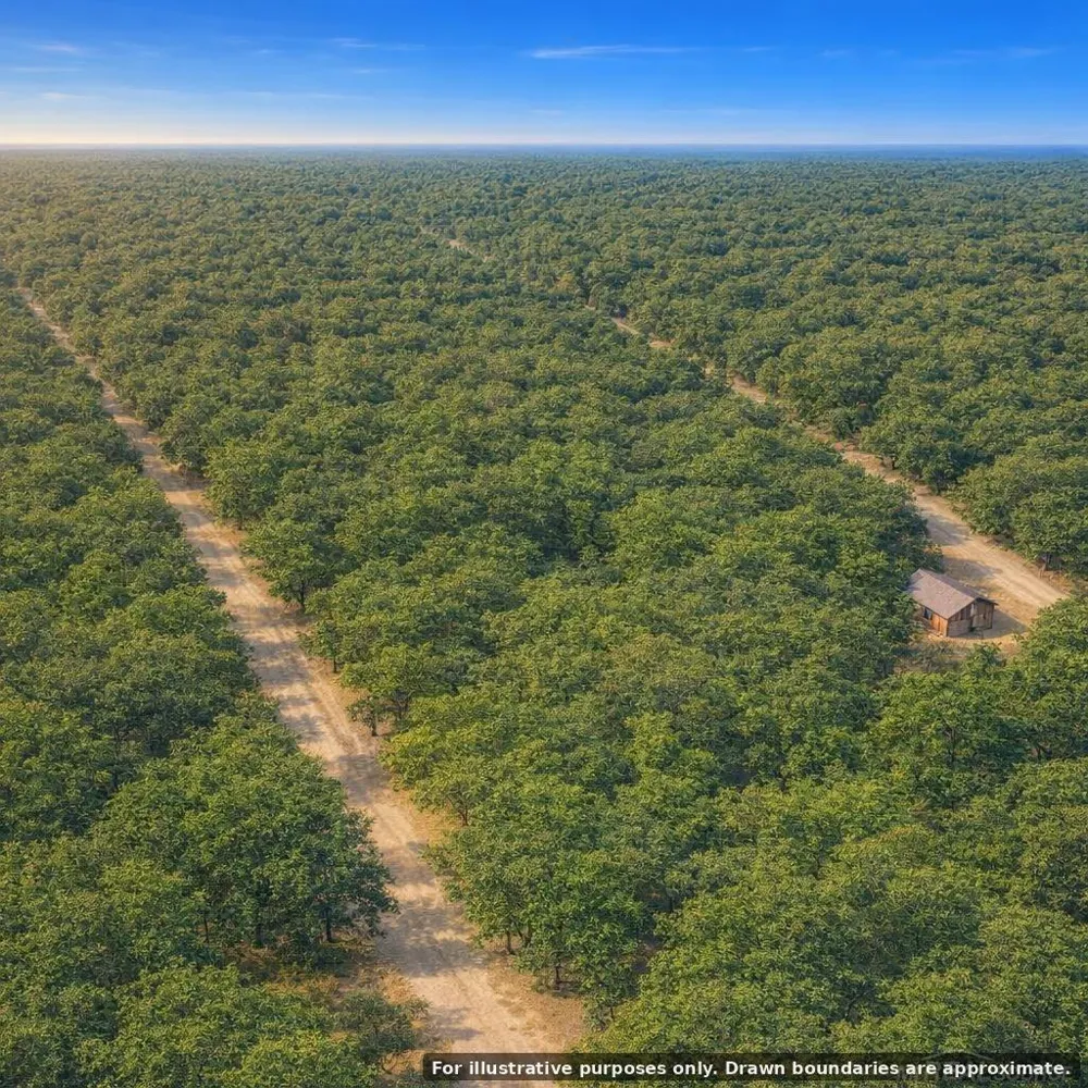 S Summers Road Pleasant Plains Township, MI 49304