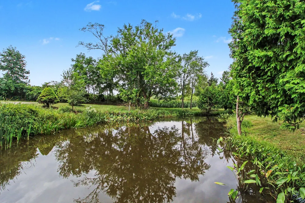123 S Freer Road Lima Township, MI 48118