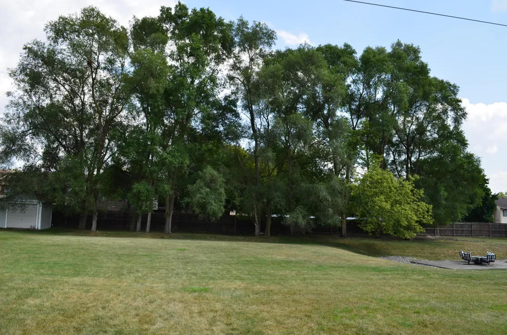7686 Cherrywood Drive Westland City, MI 48185