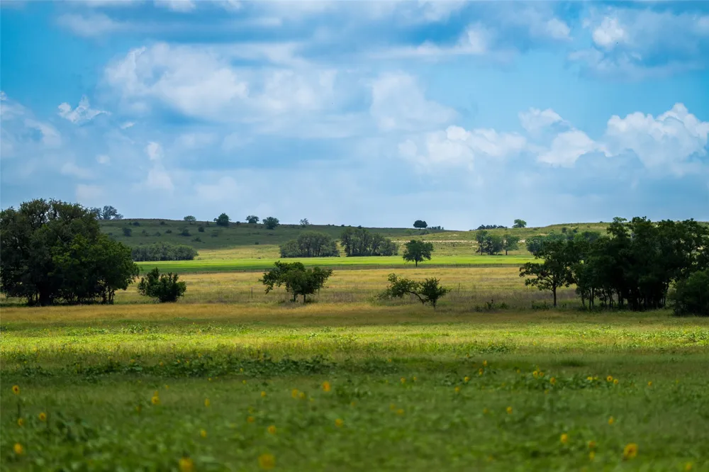 150 Hye Albert Road Hye, TX 78635
