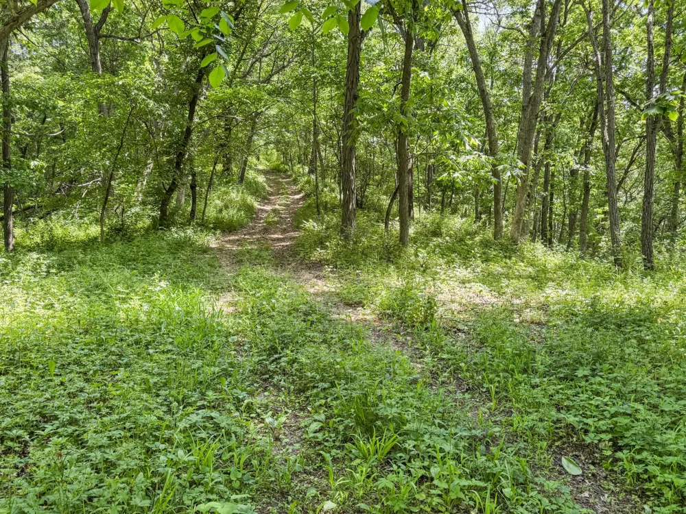 00 Dopp Ettrick, WI 54627