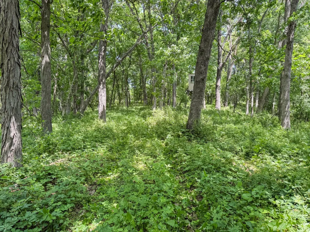 00 Dopp Ettrick, WI 54627