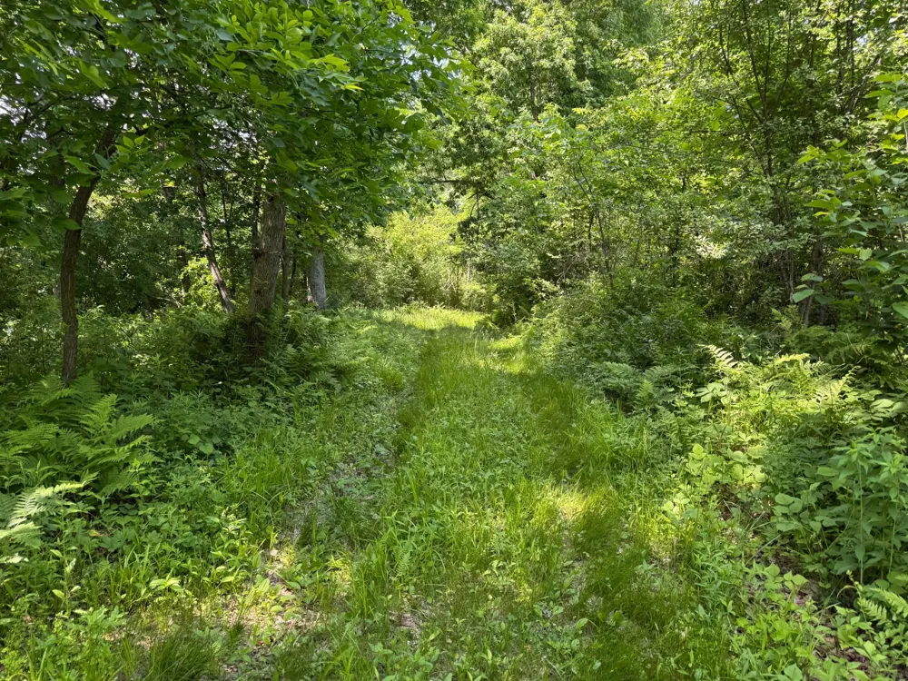 00 Dopp Ettrick, WI 54627
