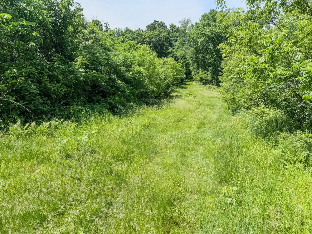 00 Dopp Ettrick, WI 54627