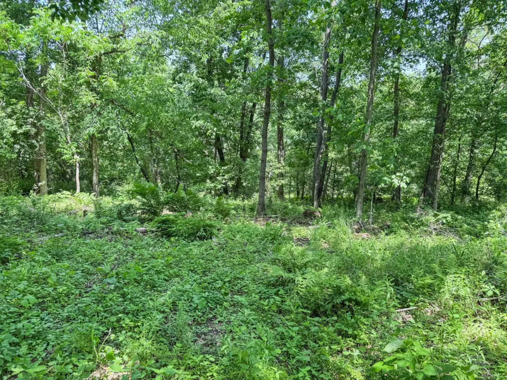 00 Dopp Ettrick, WI 54627