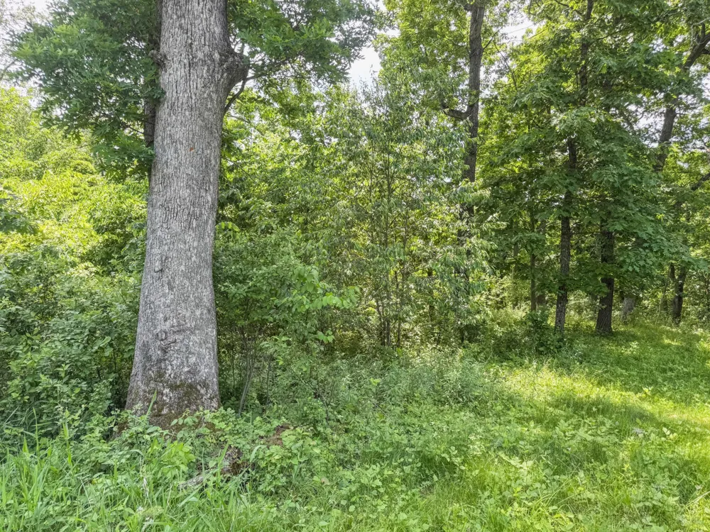 00 Dopp Ettrick, WI 54627
