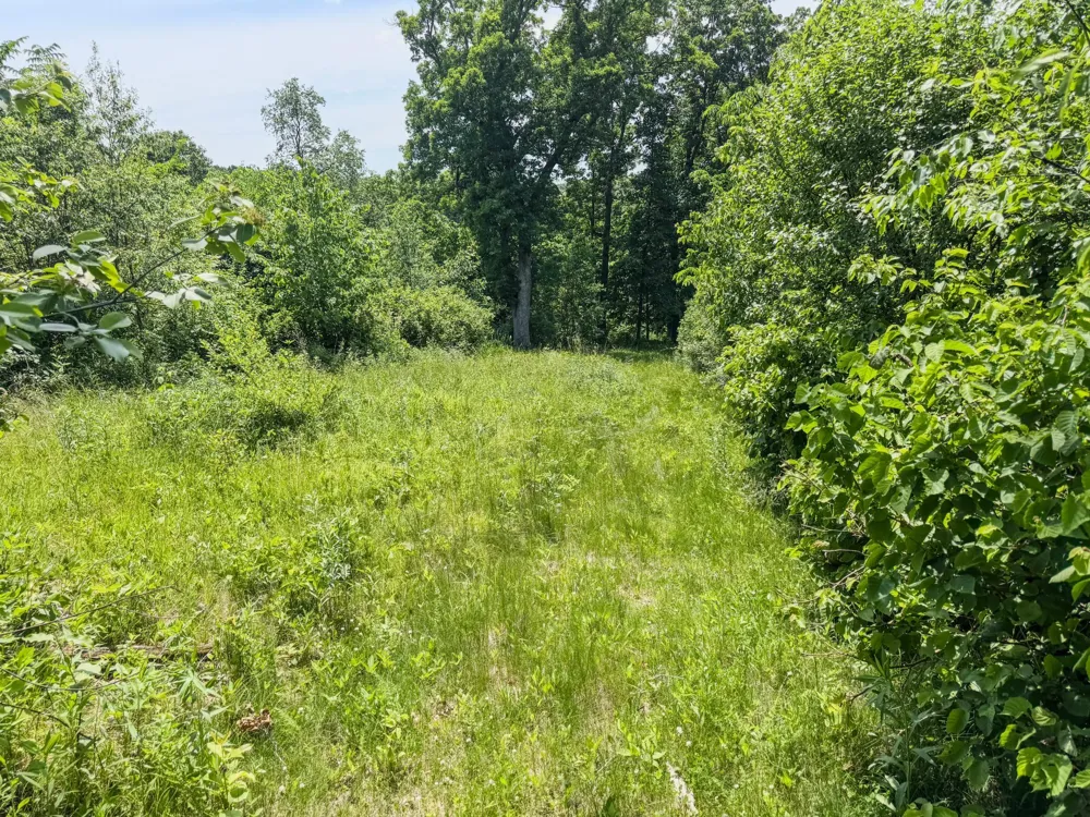 00 Dopp Ettrick, WI 54627