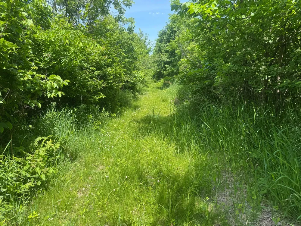 00 Dopp Ettrick, WI 54627