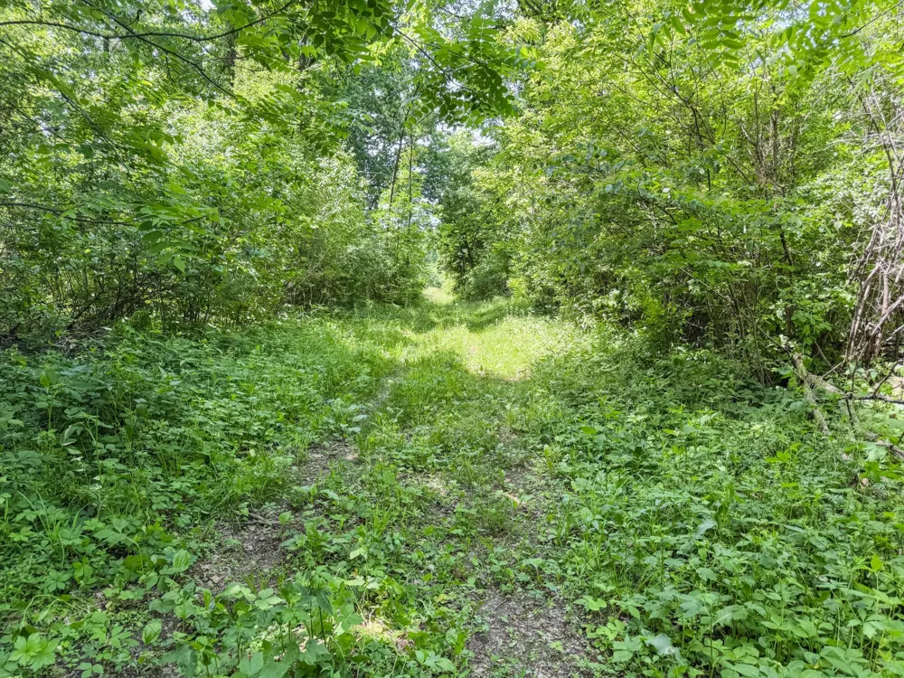00 Dopp Ettrick, WI 54627