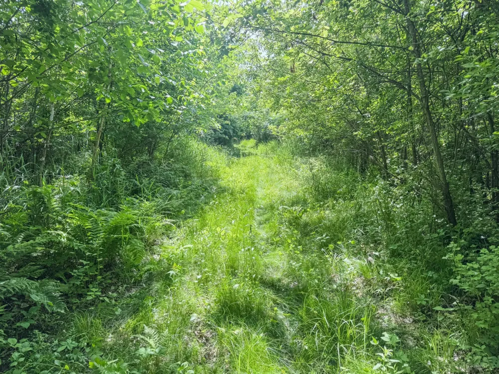00 Dopp Ettrick, WI 54627