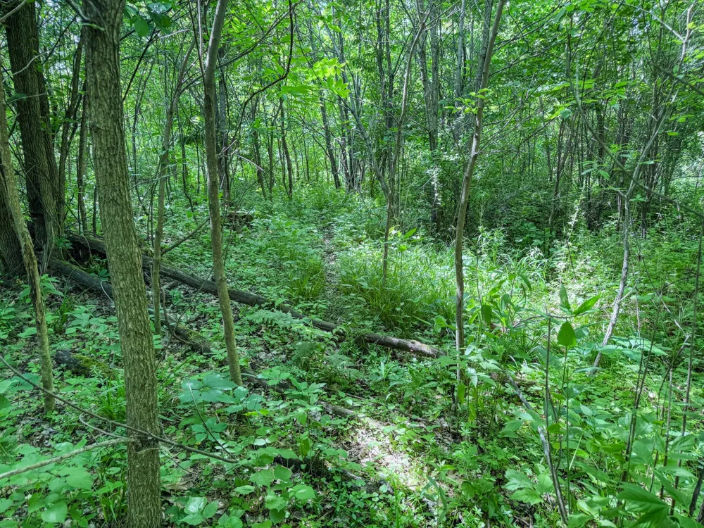 00 Dopp Ettrick, WI 54627