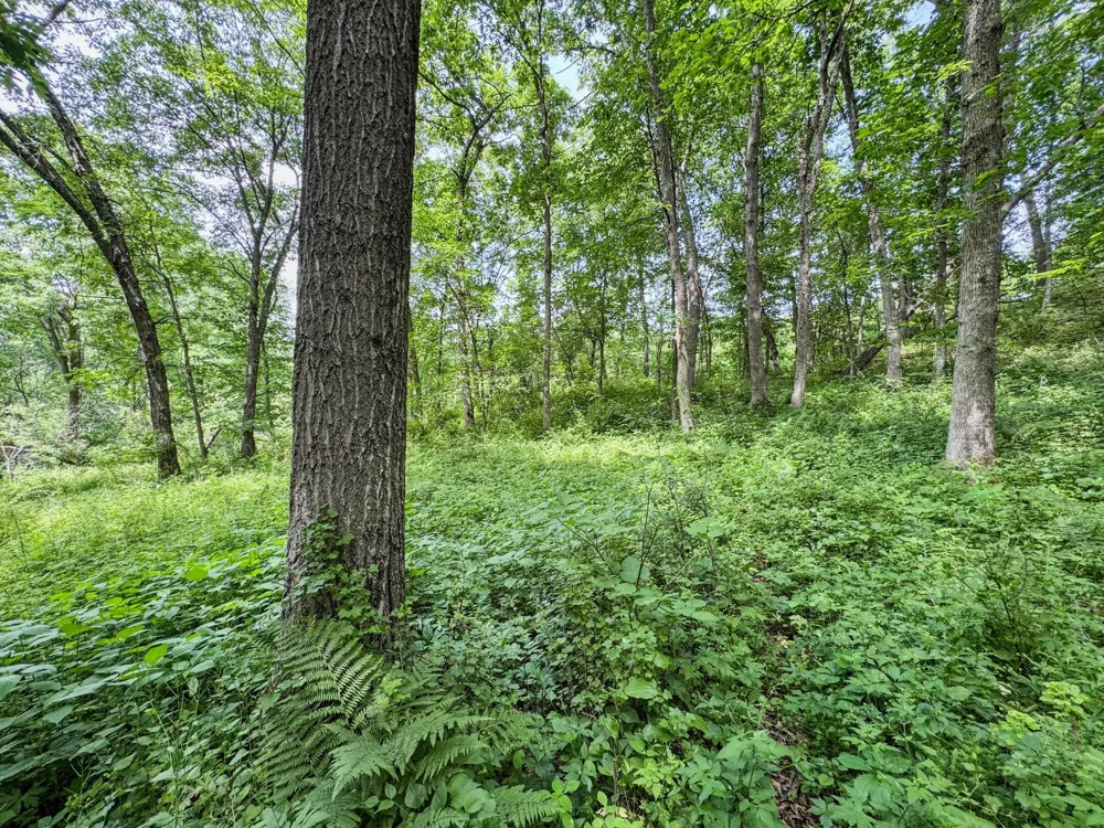 00 Dopp Ettrick, WI 54627