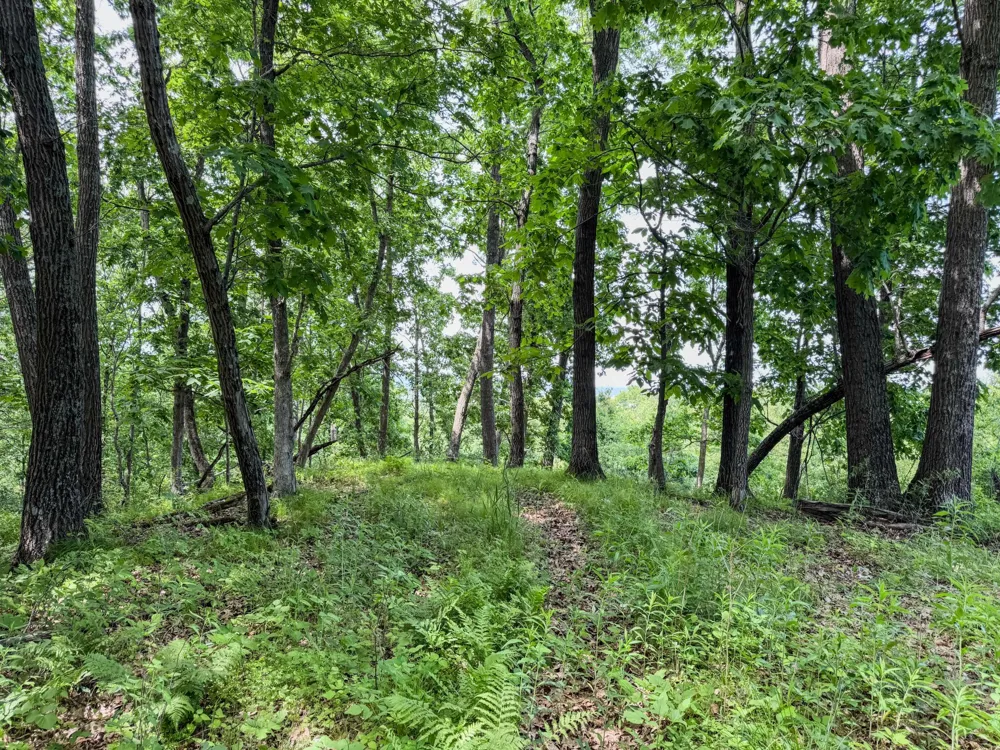 00 Dopp Ettrick, WI 54627