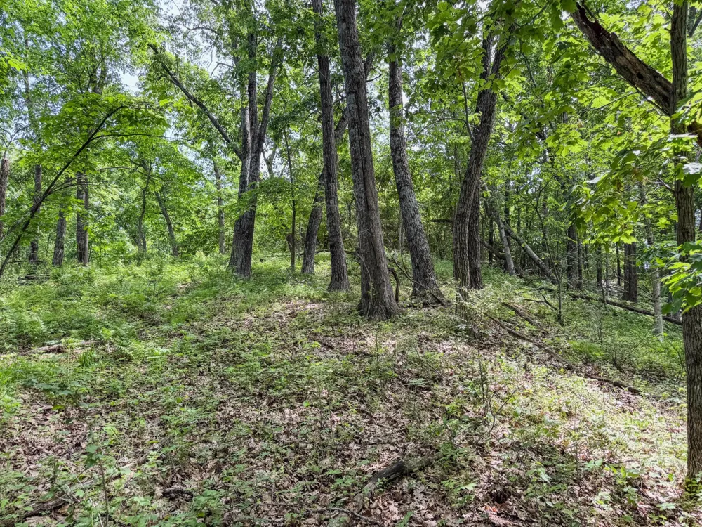 00 Dopp Ettrick, WI 54627