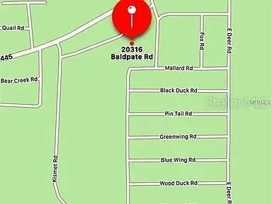 20316 BALDPATE ROAD Altoona, FL 32702