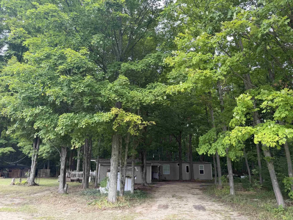 272 S Haze Road Homestead Township, MI 49617
