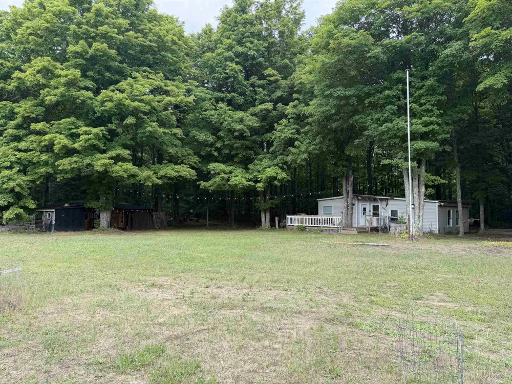272 S Haze Road Homestead Township, MI 49617