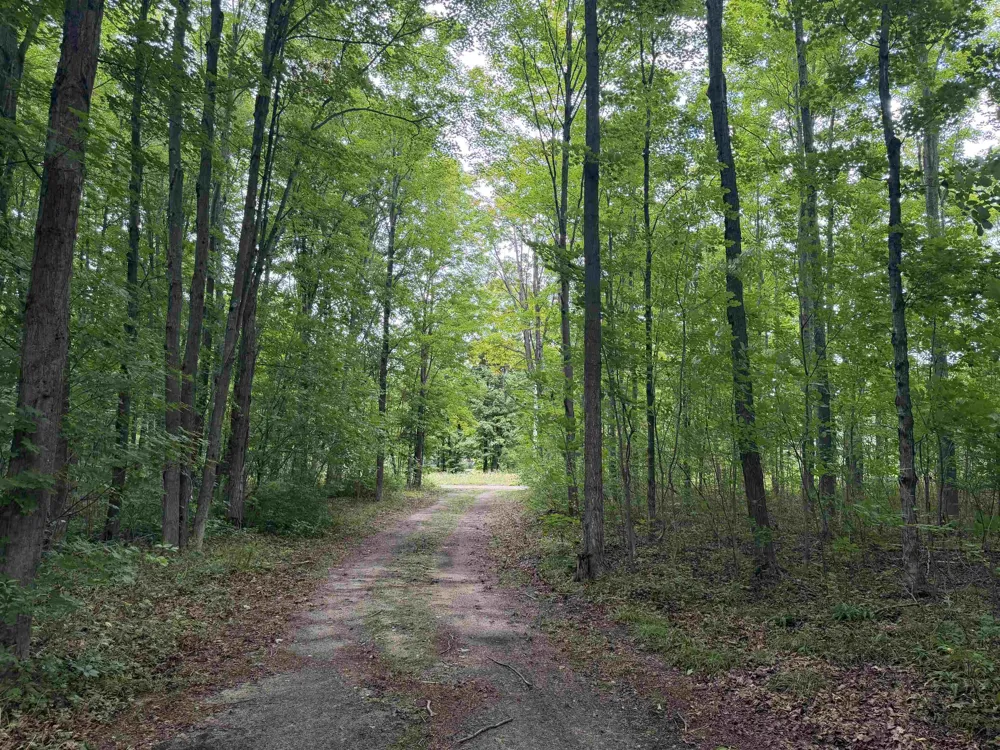 272 S Haze Road Homestead Township, MI 49617