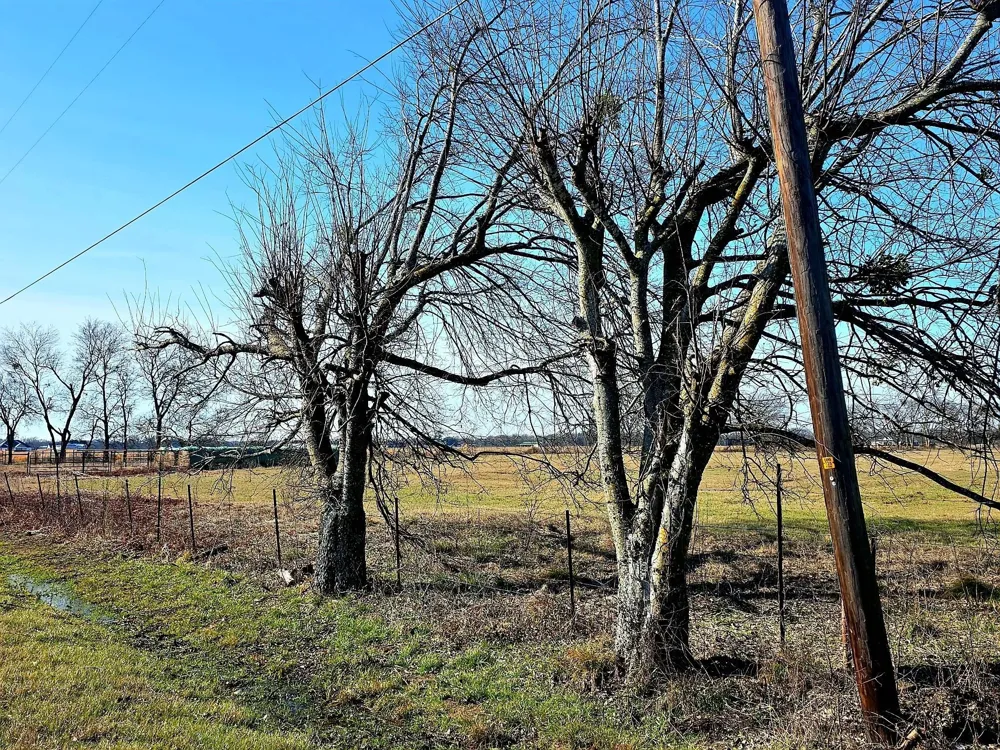 19770 FM 47 Wills Point, TX 75169