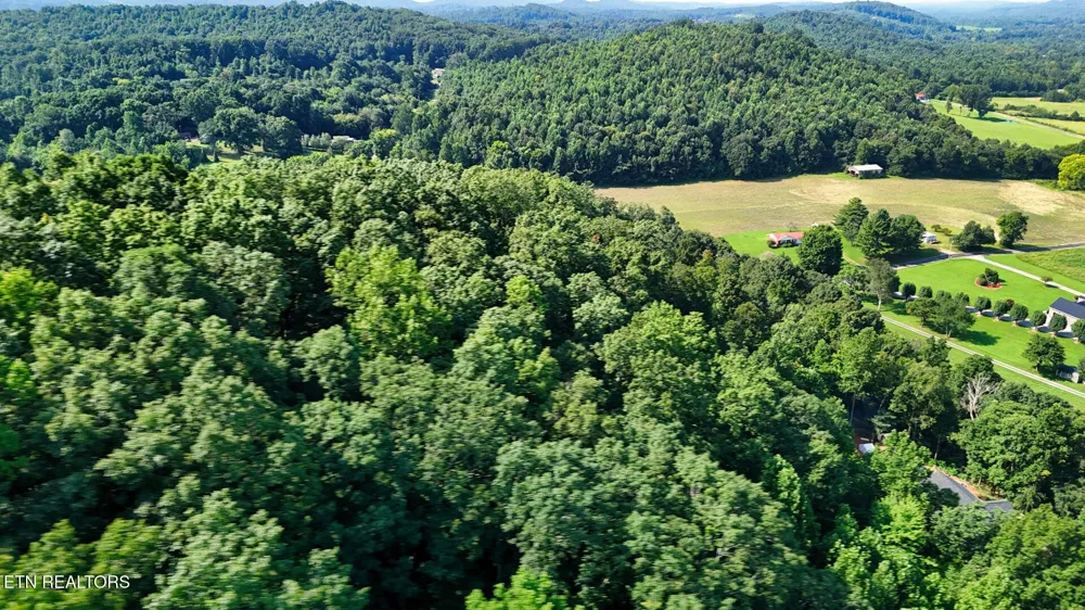 1 Moss Rd Philadelphia, TN 37846