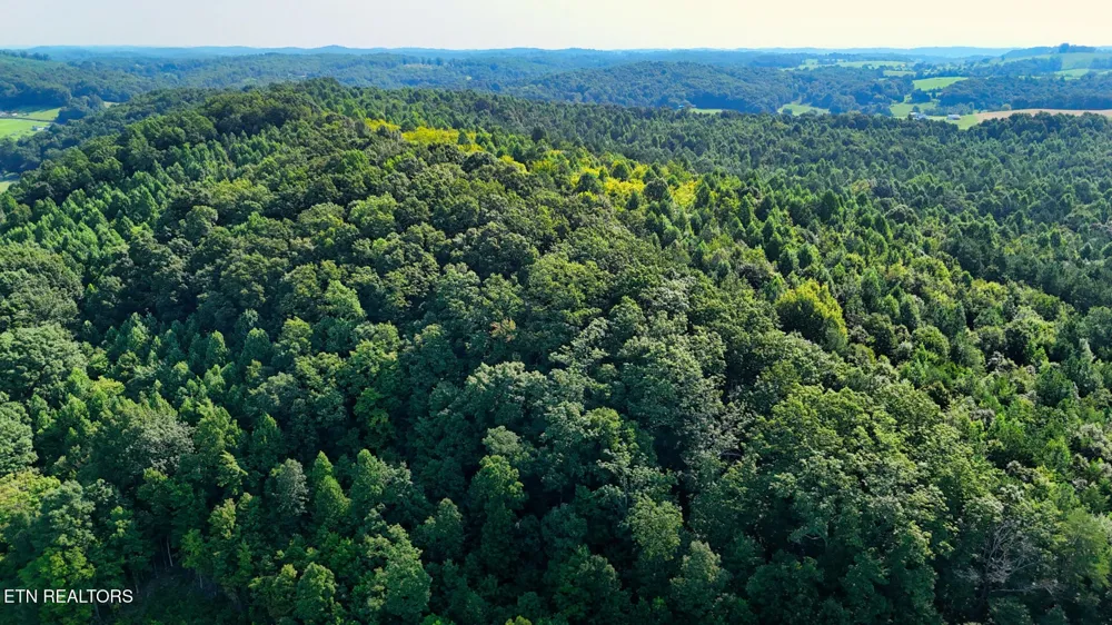 1 Moss Rd Philadelphia, TN 37846