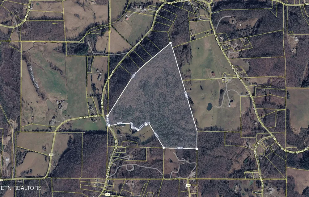 1 Moss Rd Philadelphia, TN 37846