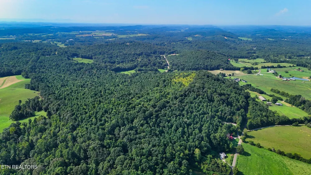 1 Moss Rd Philadelphia, TN 37846