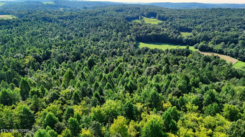 1 Moss Rd Philadelphia, TN 37846