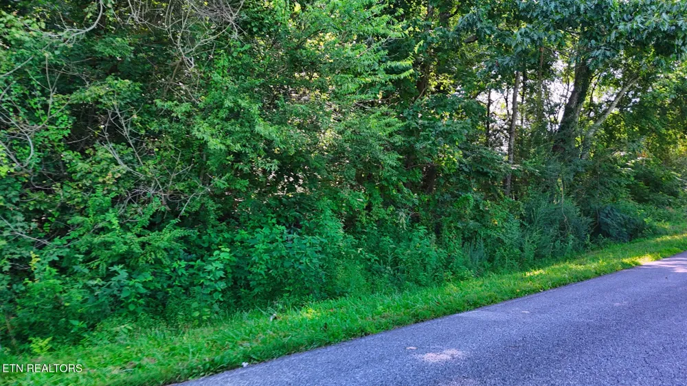 1 Moss Rd Philadelphia, TN 37846