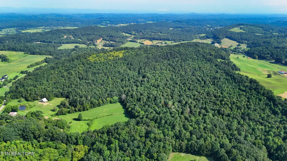 2 Moss Rd Philadelphia, TN 37846