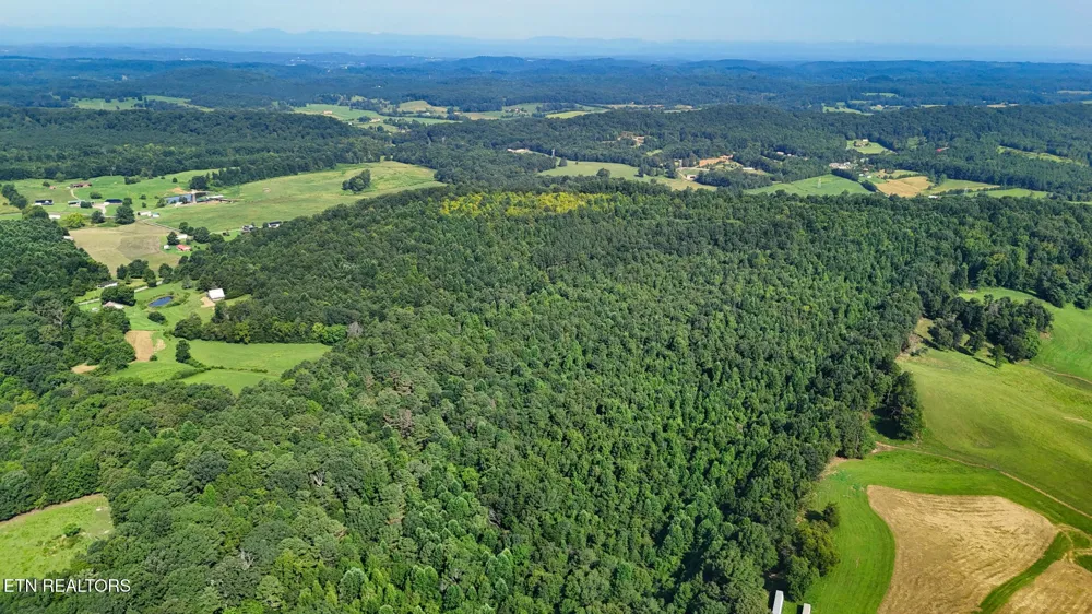 2 Moss Rd Philadelphia, TN 37846