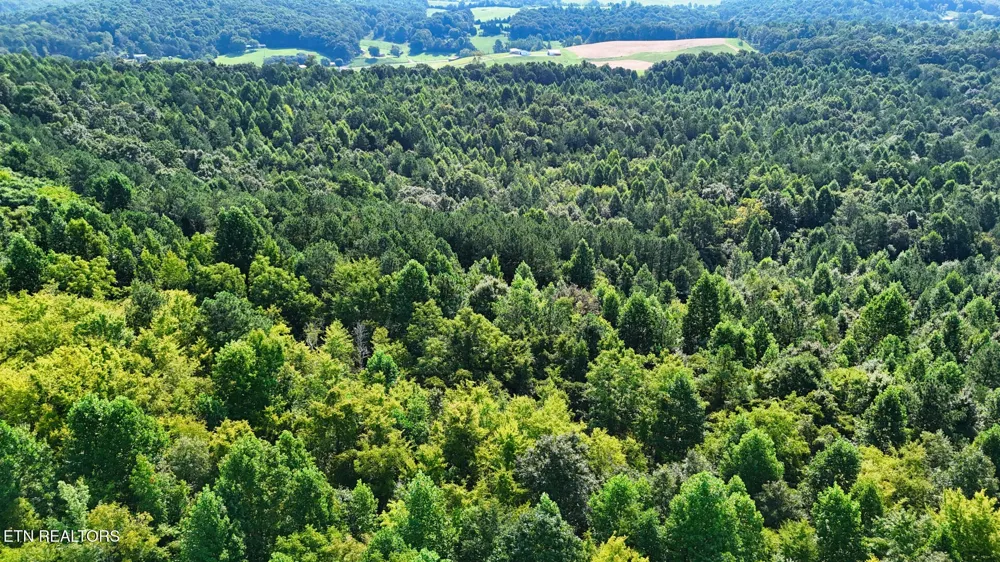 2 Moss Rd Philadelphia, TN 37846