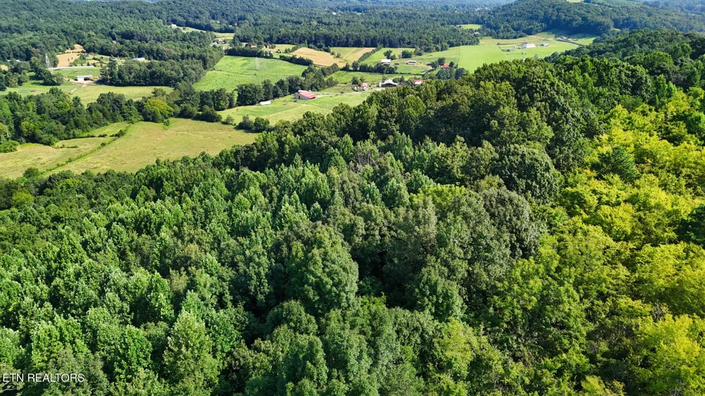 2 Moss Rd Philadelphia, TN 37846