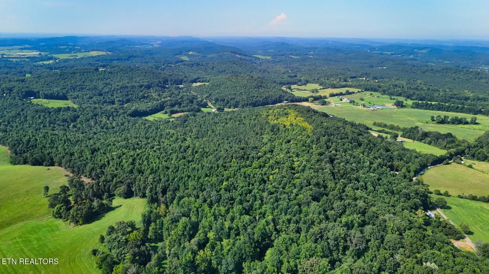 2 Moss Rd Philadelphia, TN 37846