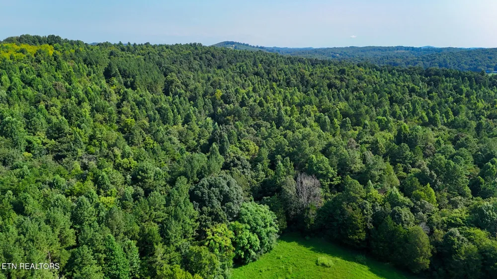 2 Moss Rd Philadelphia, TN 37846