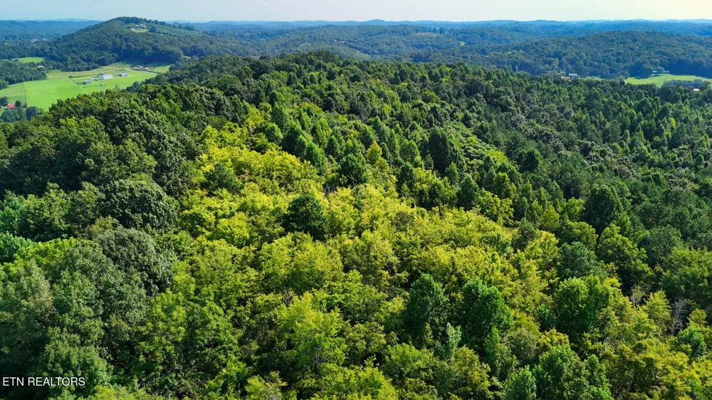 2 Moss Rd Philadelphia, TN 37846