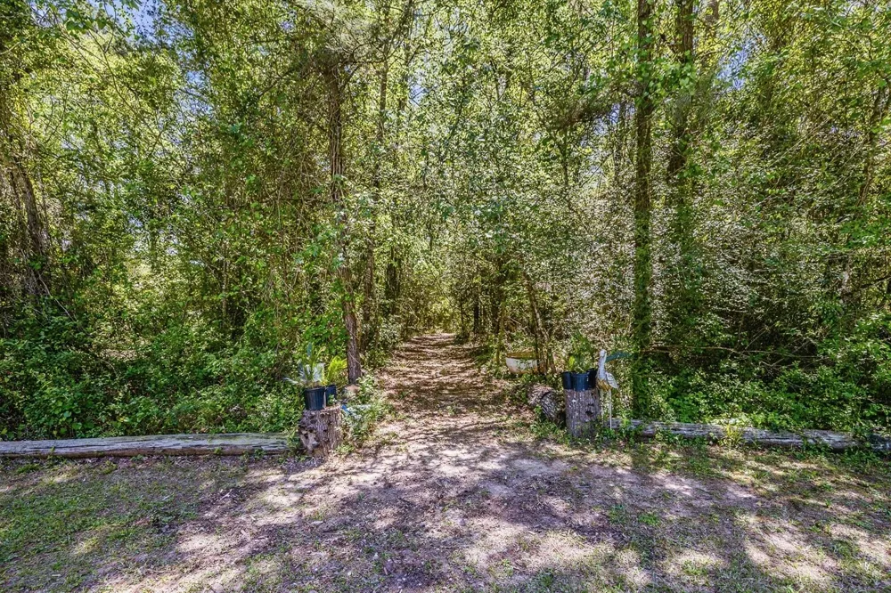 47 Dana Drive New Waverly, TX 77358